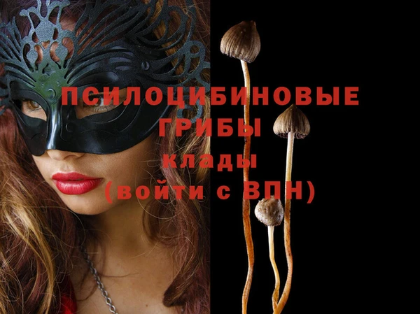 дмт Абинск
