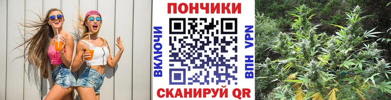 Каннабис планчик  купить наркотик  Азов 